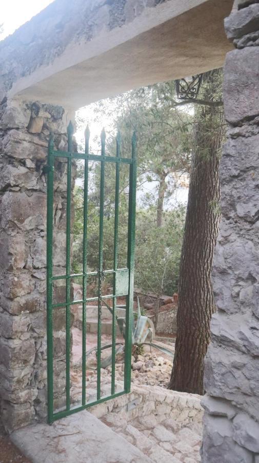 Villa Enrica カプリ エクステリア 写真