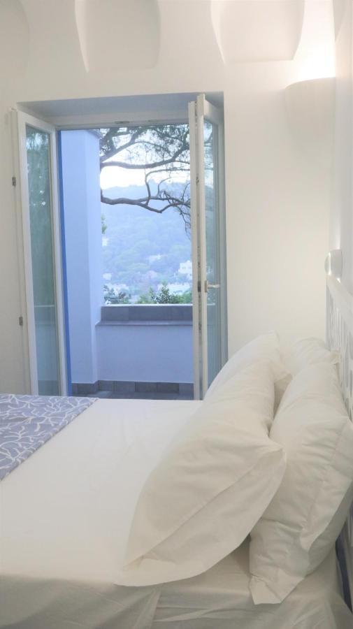 Villa Enrica カプリ エクステリア 写真